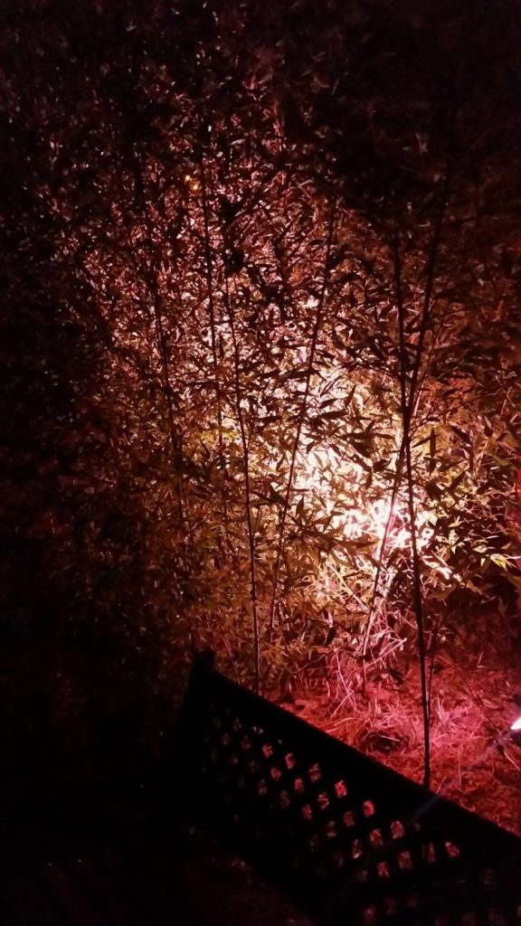 18720852_10211883188610336_468751291_o